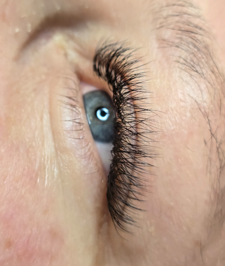 Lashes & brows, Madona