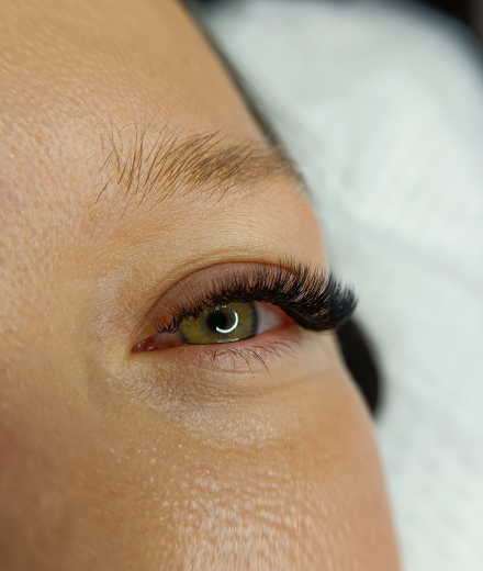 Lashes & brows, Rīga