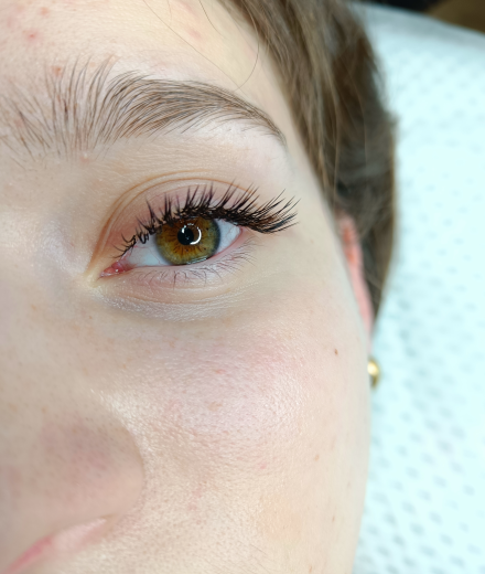 Lashes & brows, Rīga