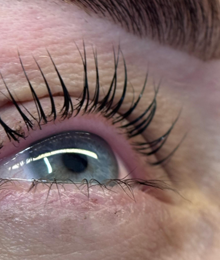 Lashes & brows, Rīga